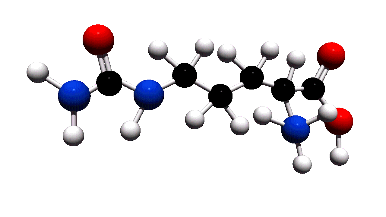 Citrulline